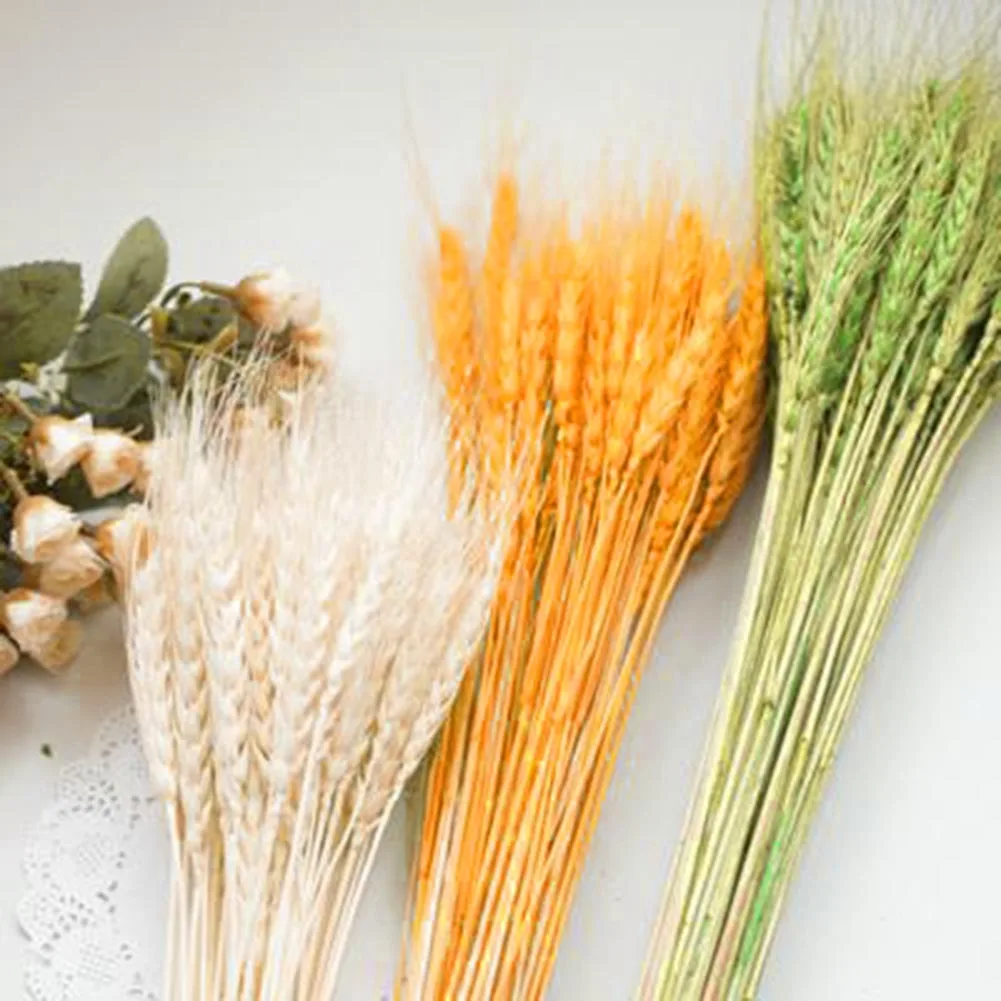 Plants Simulation Dried Flowers Bouquets Home Art Decoration Living Room DIY Kitchen Table Decor HFing | Дом и сад