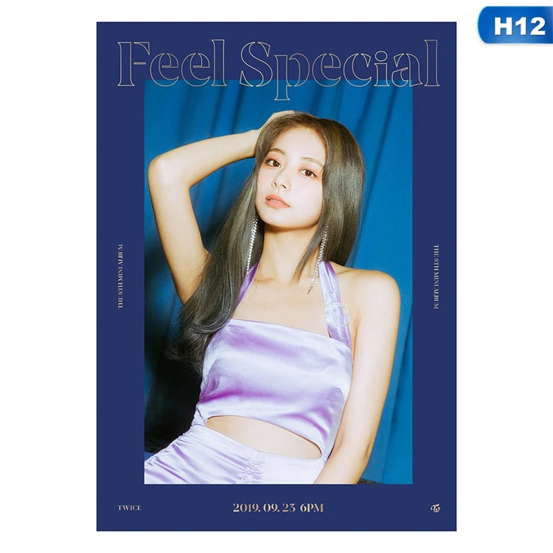 1 шт. Kpop Twice Feel Special Concert Hand support ткань для баннер висящий плакат для фанатов коллекция подарок