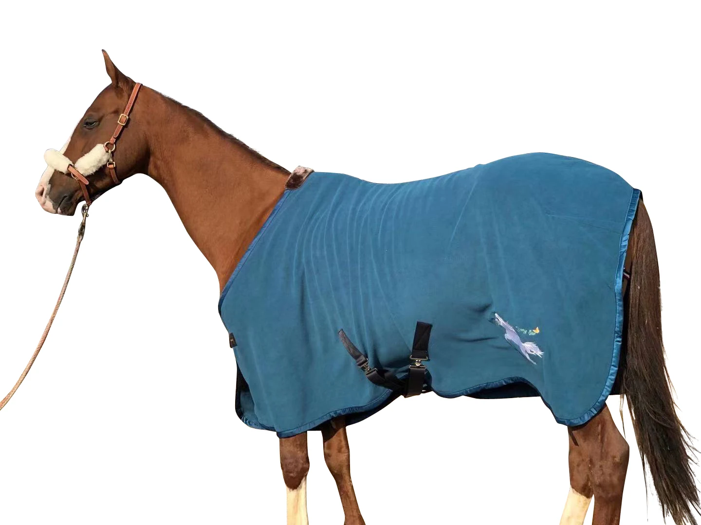 New European Thick Brushed Rugs, Thick Spring And Autumn Winter Horse Covering Five Colors
