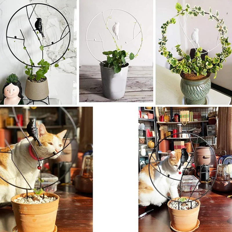 Climbing Plant Garden Taid Retro Potted With Round Rustproof Metal Bird Durable Support Tool 30/35Cm | Дом и сад