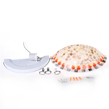 

ICOCO High Quality Modern Nature Shell Flush Uplighter Wall Light Sconce Lighting Lamp Wholesale Drop Shipping Promotion Sale