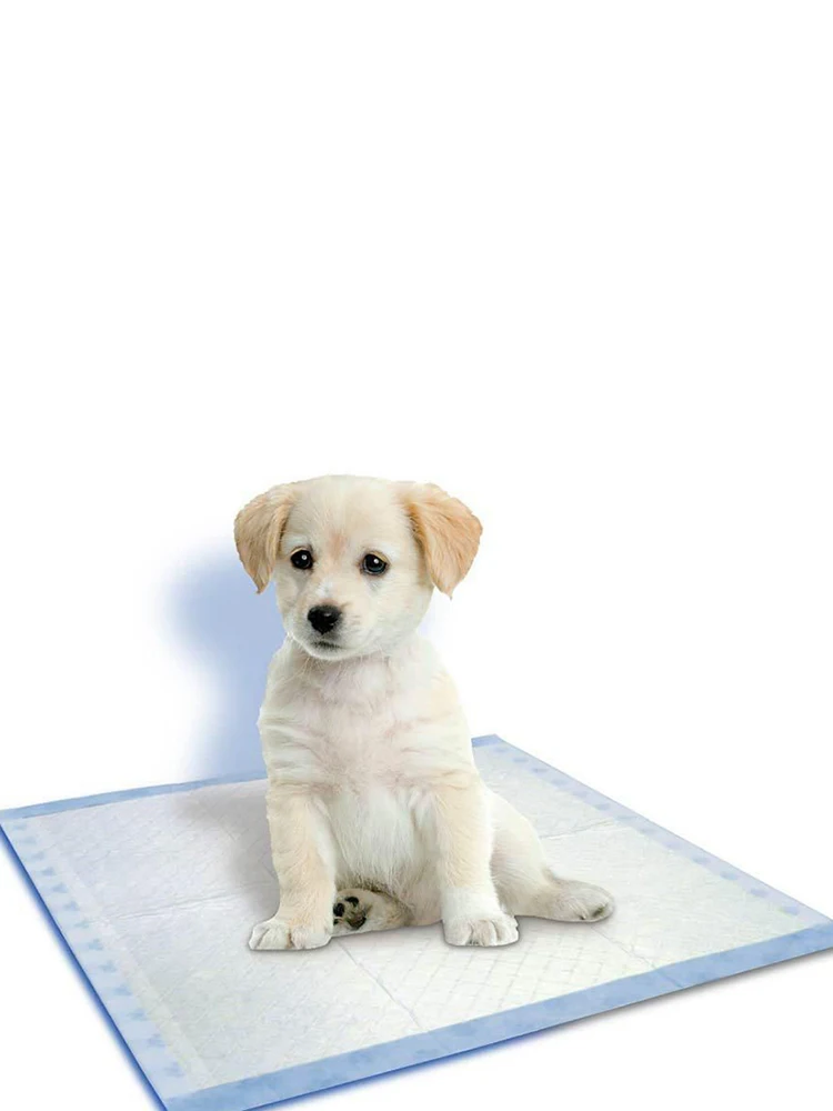 как научить щенка писать на пеленку. как научить щенка писать на пеленку. щенок на пеленке. Beaphar пеленки для щенков, 7 шт. туалет для йоркширского терьера.