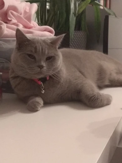 U124bd8ba549143dab569e81d359d782bW