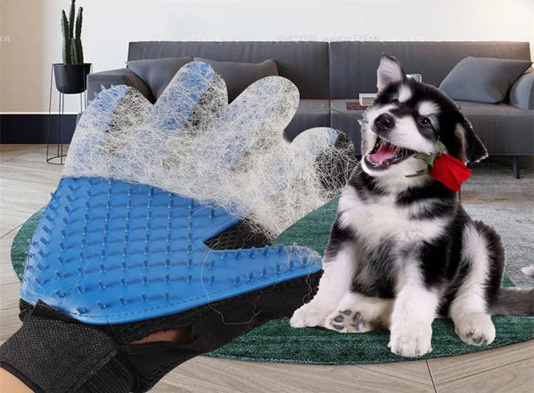 8919721905_1771561887