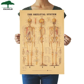 

DLKKLB The Skeleton of The Body Structure Nervous System Vintage Poster Home Dorm Room Decor Painting 51.5x35.5cm Wall Sticker