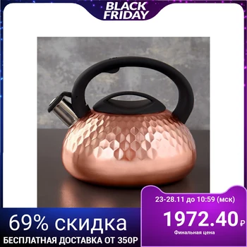 

Whistling kettle 3 l Galaxy bronze, induction, soft-touch handle 4501426