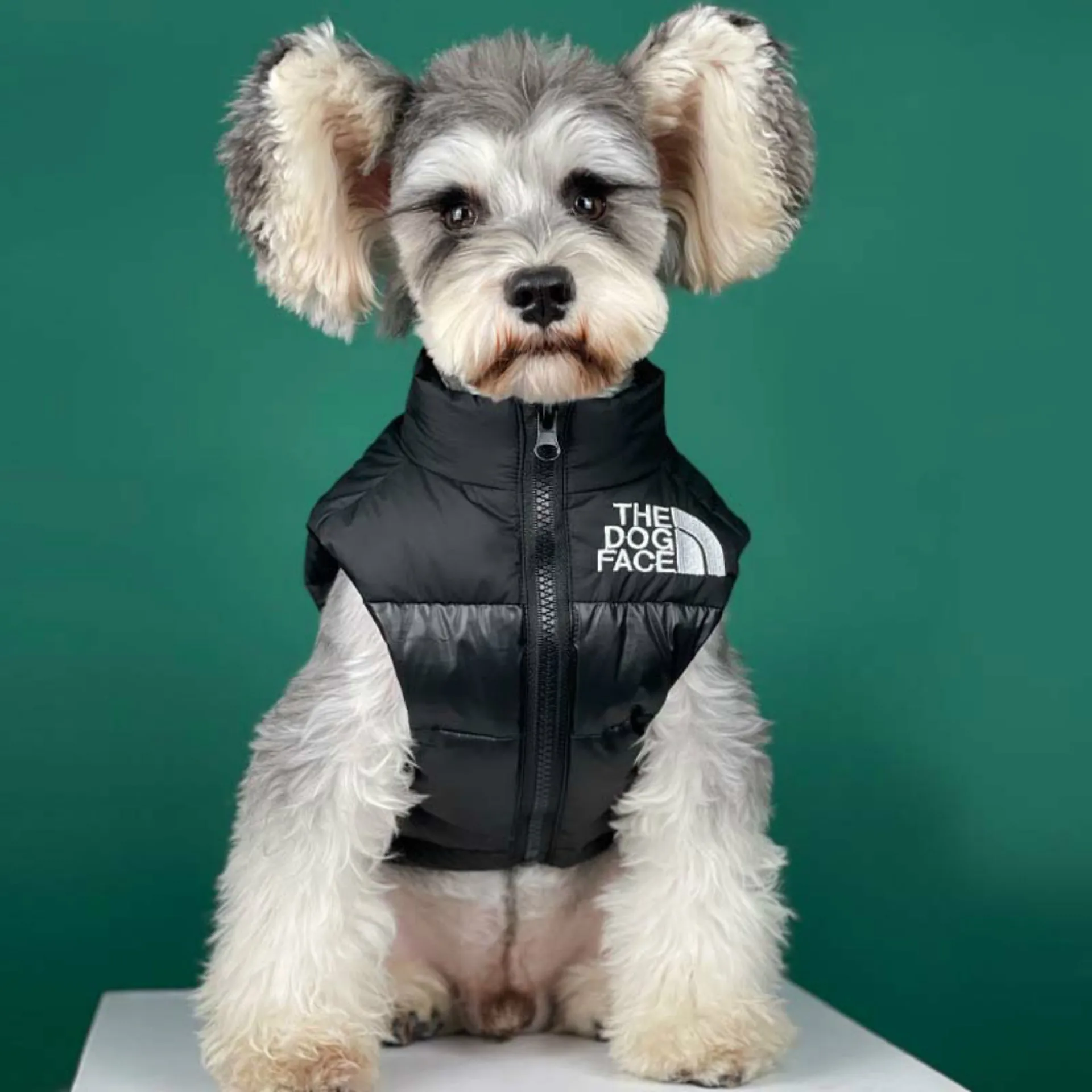 Chaqueta negra para perros medianos y pequeños, chaleco grueso de plumón de pato blanco cálido, para Chihuahua, Bulldog francés
