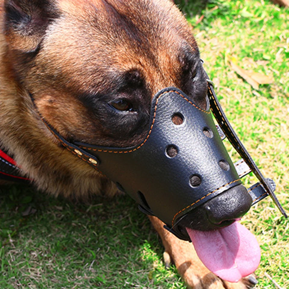 anti scavenging muzzle