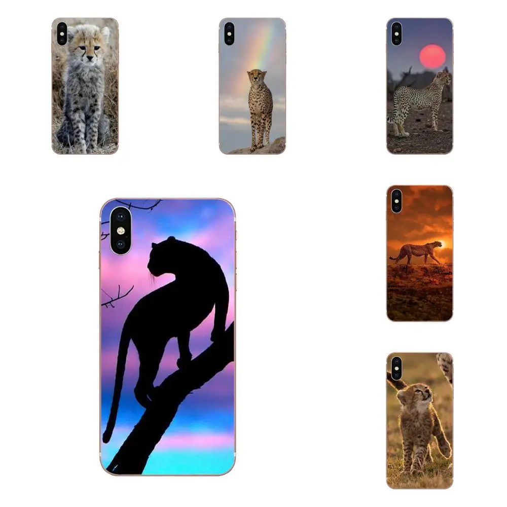 Классный лучший чехол Cheetah из ТПУ для Apple IPhone X XS Max XR 4 4s 5 5C 5S SE 6 6S 7 8 Plus | Мобильные