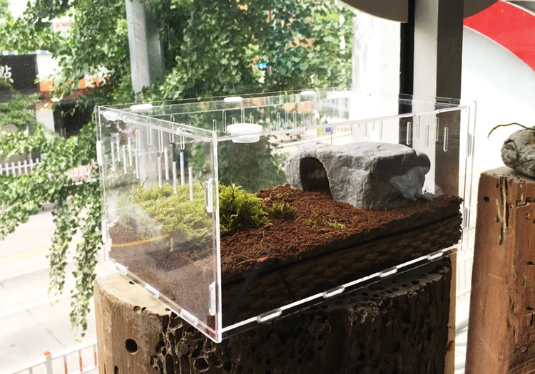 Reptile Tank Insect Spiders Tortoise Lizard Acrylic Transparent Breeding Box Vivarium Lid Reptile Pet Product Terrarium 2020 New Reptile Tank Insect Spiders Tortoise Lizard Acrylic Transparent Breeding Box Vivarium Lid Reptile Pet Product Terrarium 2020 New