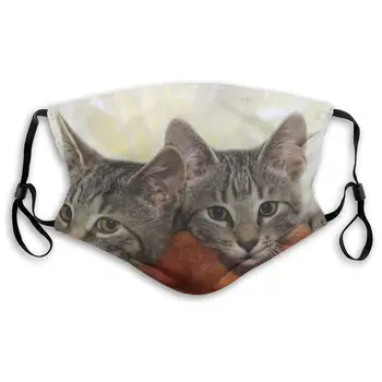

Two Kittens Head Washable Reusable Mask, Anti Dust Half Face Mouth Mask For Kids Teens Men Women With Adjustable Ear Loops