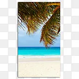 海滩桌面壁纸海岸海星 海滩png图片素材免费下载 图片编号 Png素材网