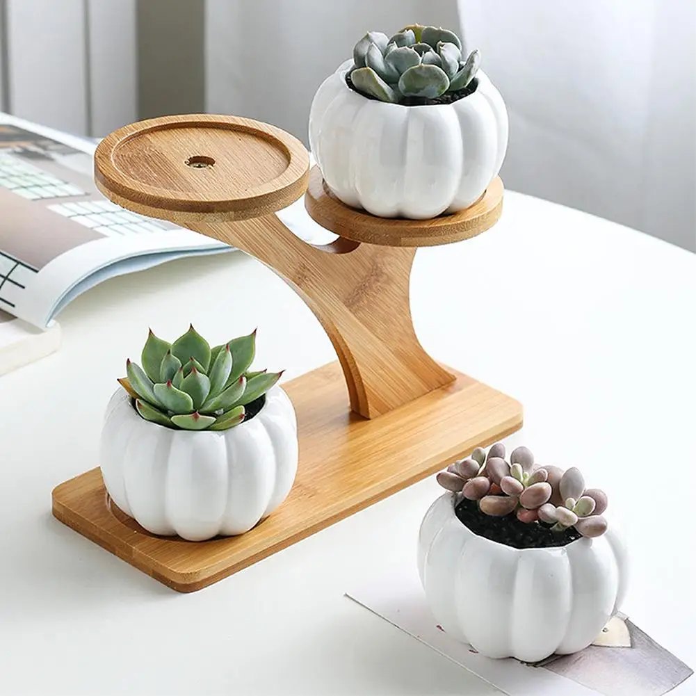 

Simple White Succulent Plant Flower Pot Holder Ceramic Pumpkin Pattern Pot Treetop Shaped Bamboo Shelf Pot Planter Set