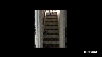 1JyXYOpQDxvXbXZDwV3__hd