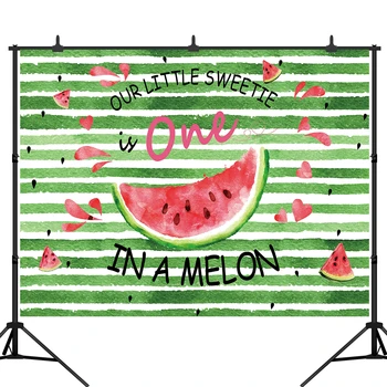 

Watermelon Party Backdrop One In A Melon Birthday Party Banner Photography Background First Birthday Pink Melon Party