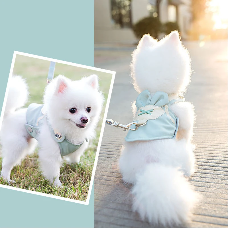Cute Pet Dog Harness Leash Set Adjustable Breathable Chest Strap For Small Medium Dogs Walking Pets Vest Harnesses Rope Product