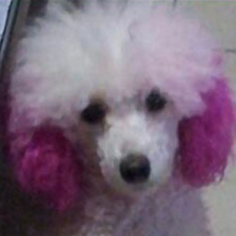 Гель-краска для волос для собак Pet профессиональный крем для волос цвет нетоксичный волосы DIY Восковая краска 3,51 унций/100 мл