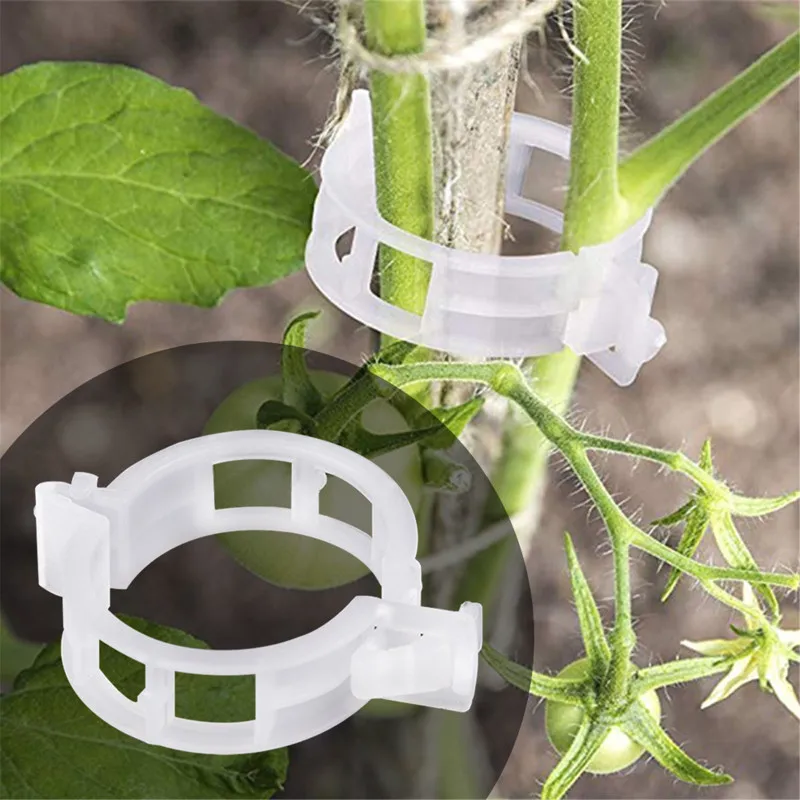 50/100pcs Reusable 25mm Plastic Plant Support Clips Clamp For Plants