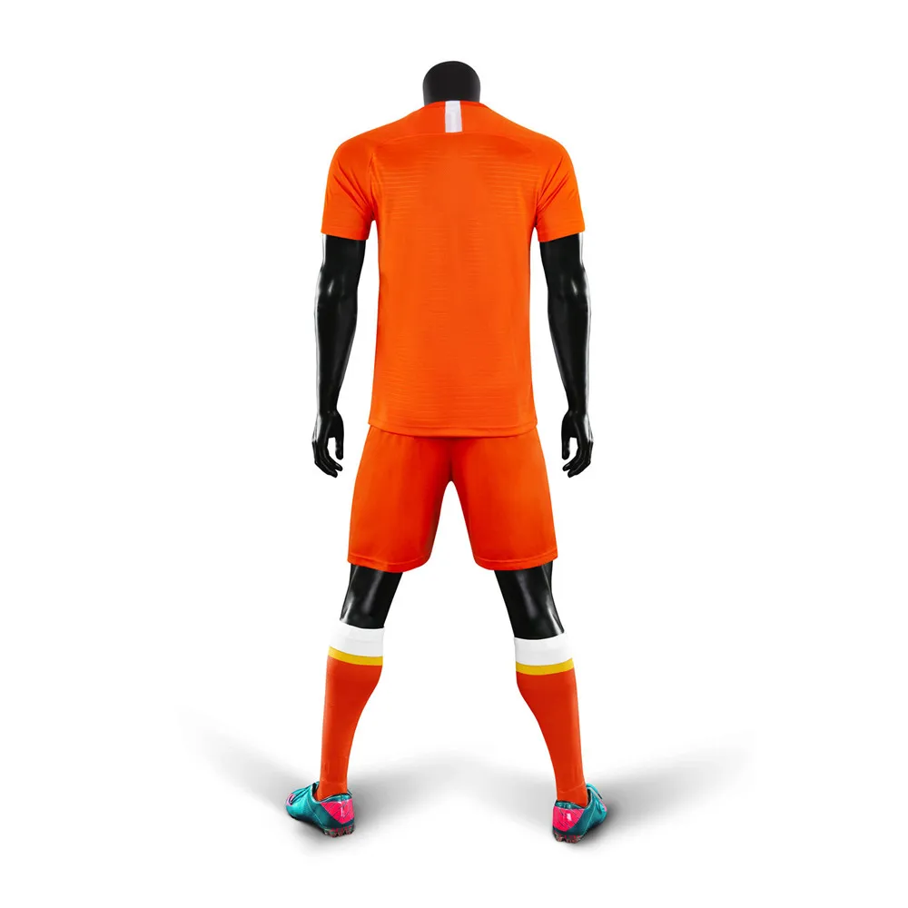 光板荷兰主场背面