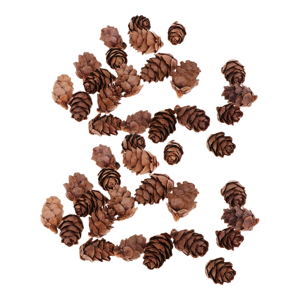 100x Natural Decorative Pine Cone Pinecone For Christmas Ornament Craft 100x Natural Decorative Pine Cone Pinecone For Christmas Ornament Craft