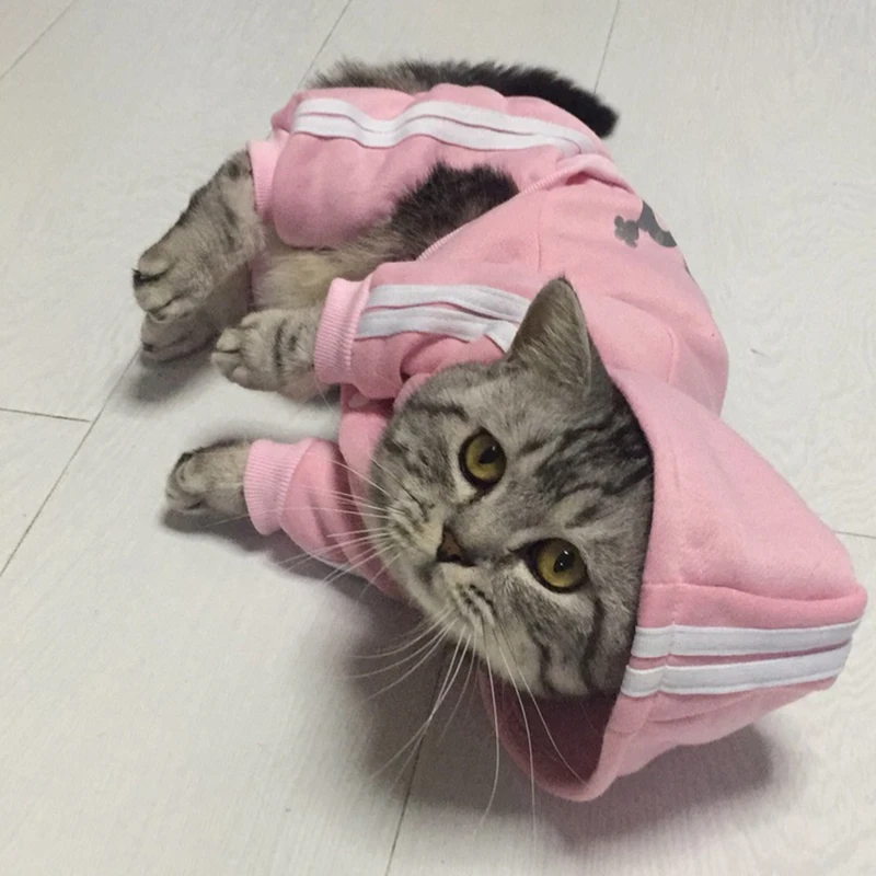 Модная одежда для кошек, зимняя теплая уютная Одежда для кошек, одежда для любимцы котята, одежда Kedi Gatto, пальто с капюшоном, комбинезон, товары для домашних животных