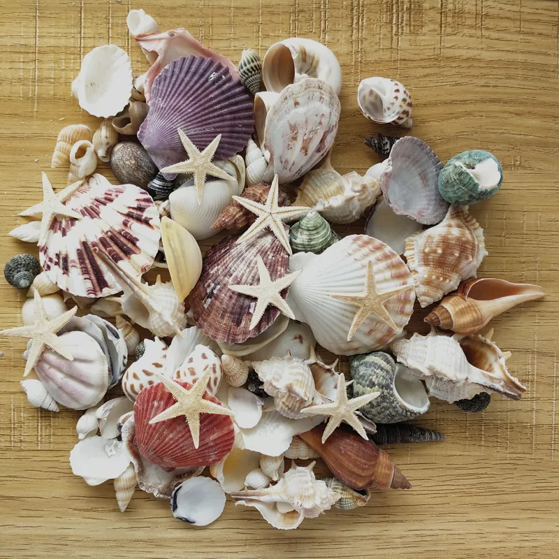 

100PCS Mixed Ocean Sea shells Wedding Decor Beach Theme Party, Seashells Home Decorations, Fish Tank,Candle Making sea star