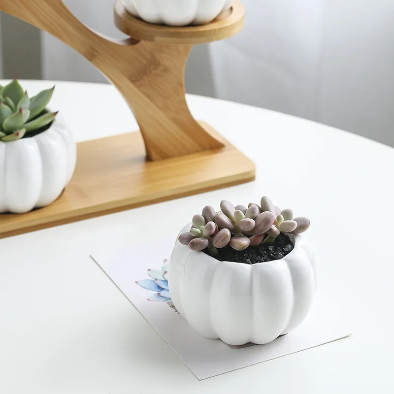 Plant Shelves Flower Display Stand Creative Succulent Plant Owl Pumpkin Bamboo Frame Ceramic Flowerpot Tray