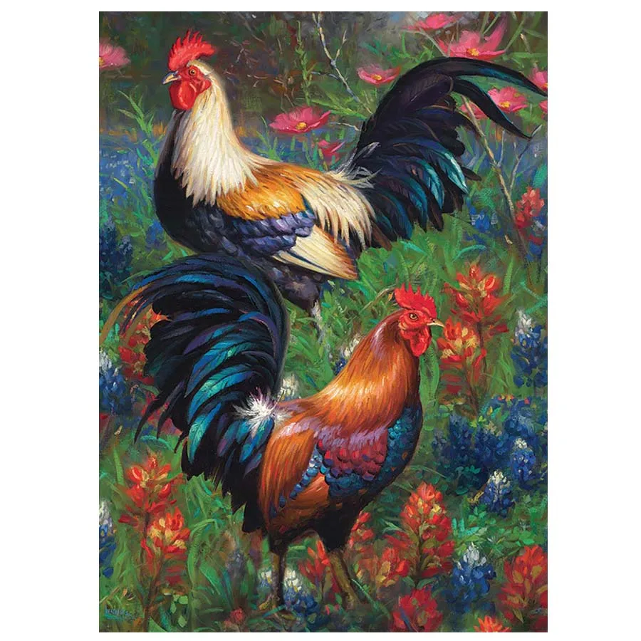 AA035 Roosters