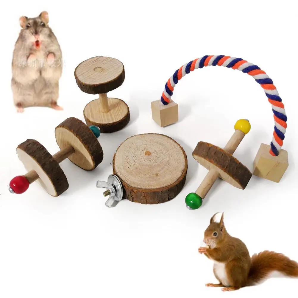 hamster puzzle toys