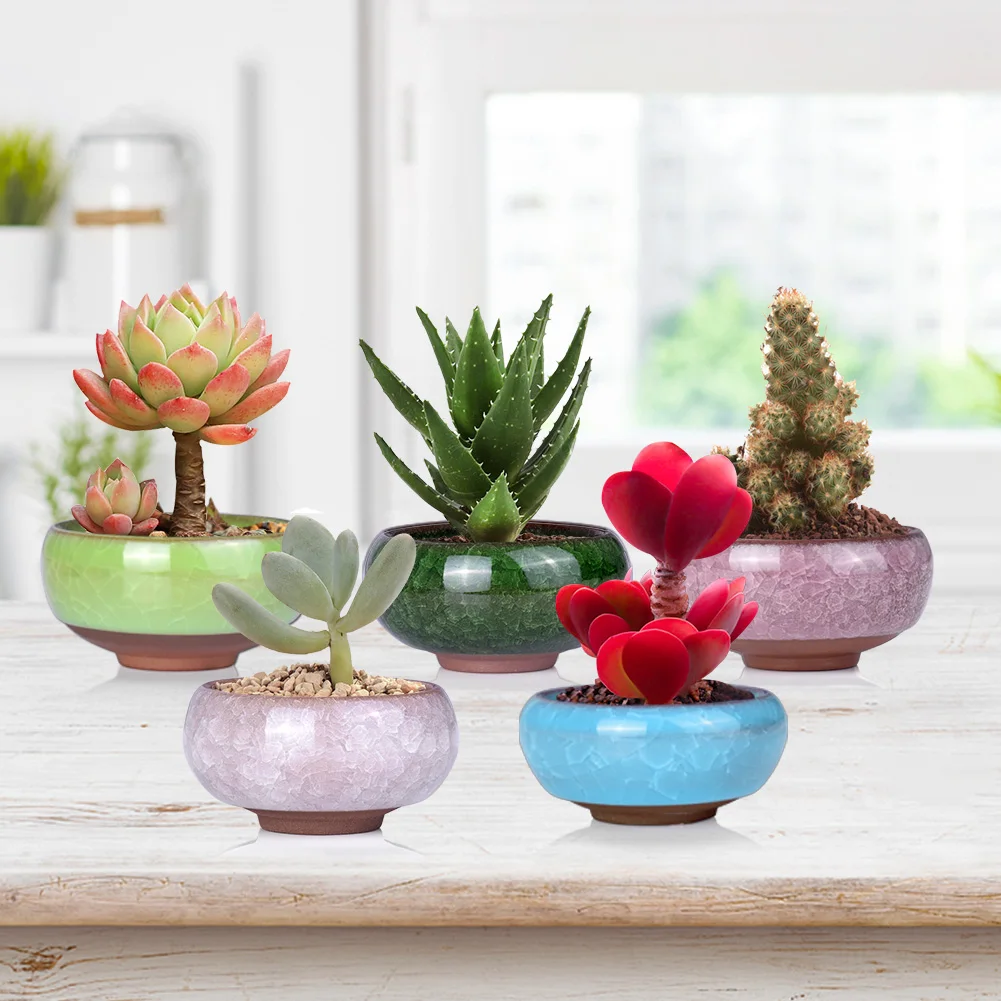 

6Pcs/Set Ceramic 2020 New Ceramic Flower Pot Lot Mini Cement Succulent Pot Plant Bonsai Home Garden Decor Oddish Planter