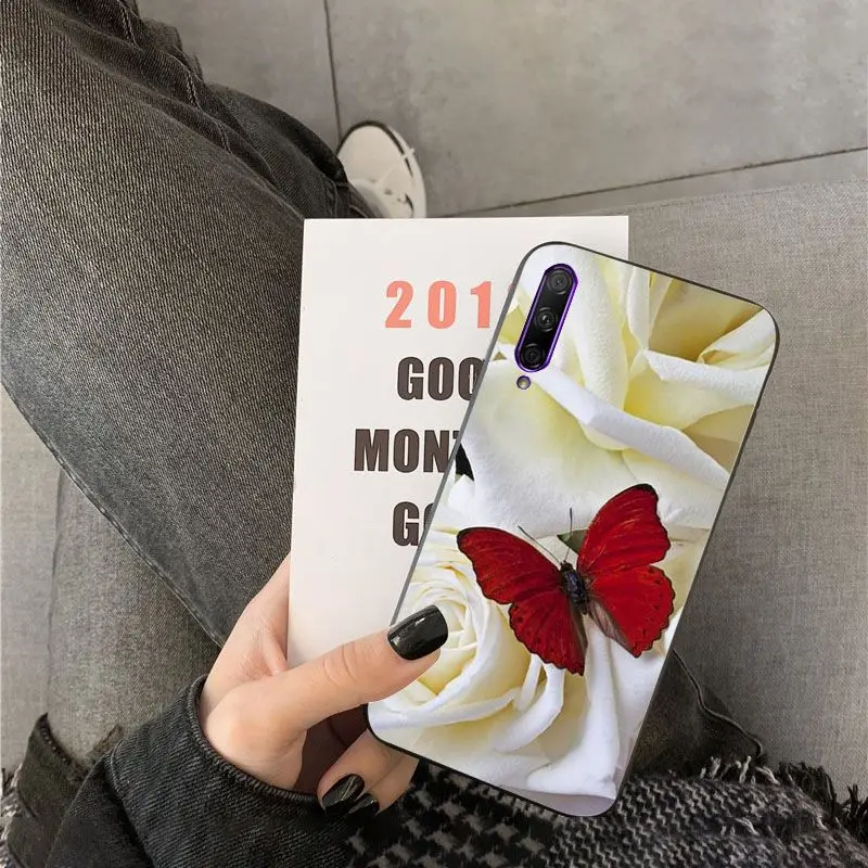 Red butterfly on white roses flower