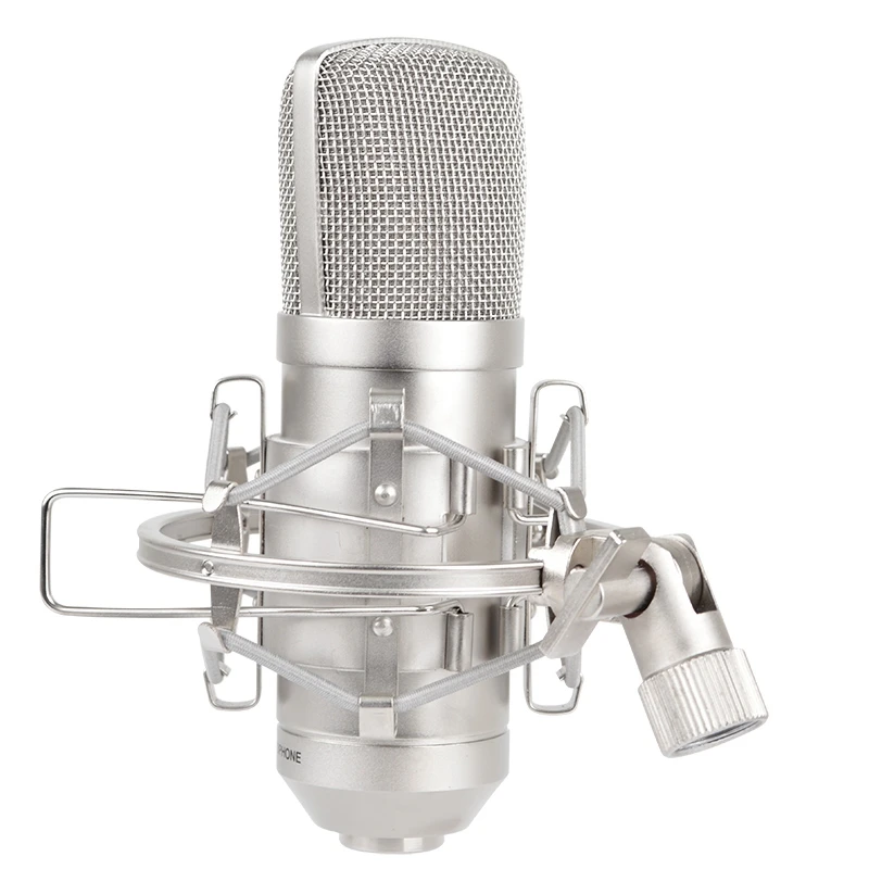 Alctron MC001 Professional Condenser Microphone