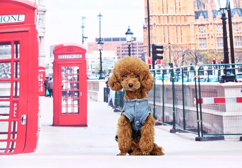 Casual Cowboy Waist Hugging Onesie Dog Clothes Legs-Teddy Bichon Cowboy Clothing Spring And Autumn Pet Clothing
