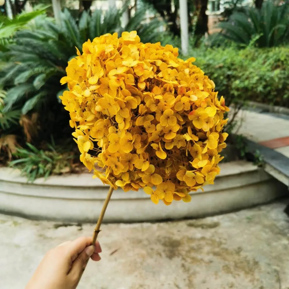 3a4bced2dbb8e5bb595ad363d9f05a5