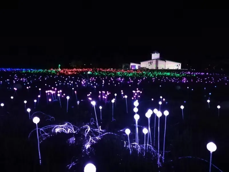 Lawn Garden Fiber Optic Lighting Sticks Optic Fiber Ball Lights Waterproof
