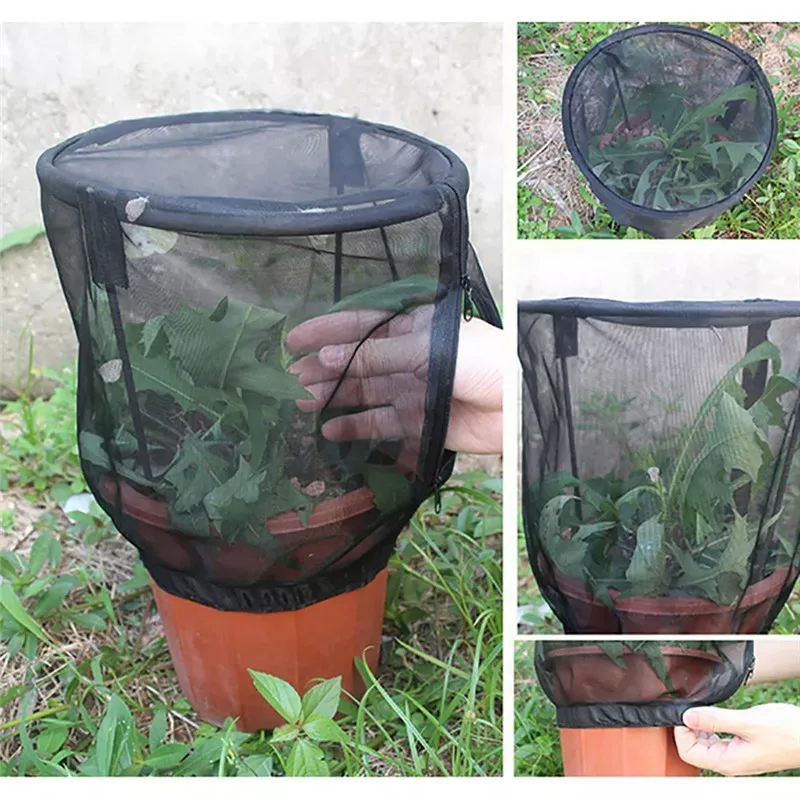 

Insect Net Cage Self Standing Butterfly Habitat Feeding Net Cover Zipper Mesh Plant Sunshade Plant Protection Garden Accessories
