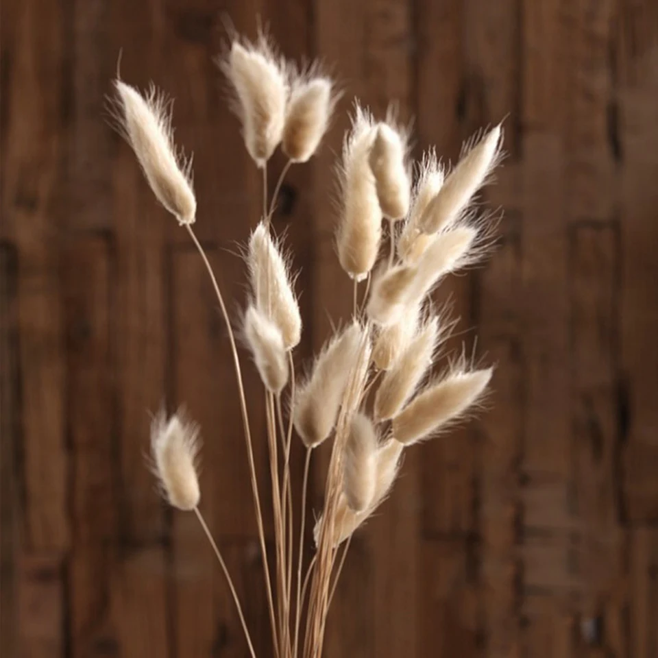 dried natural flower  (7)