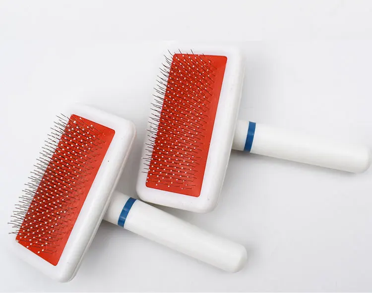 11049811623_915075906