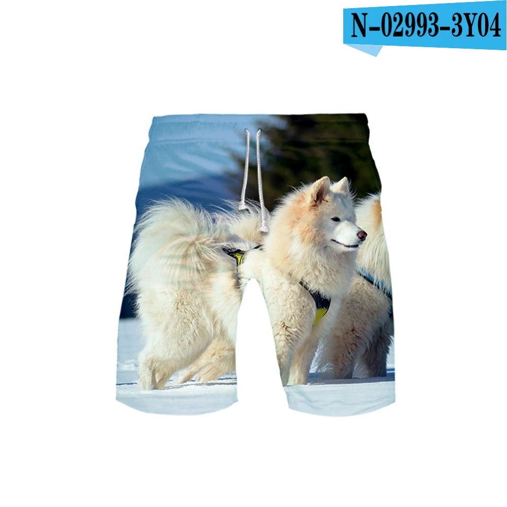Женские 3D Samoyed templar 3D пляжные шорты Плавки летние быстросохнущие пляжные шорты женские шорты в стиле хип-хоп - Цвет: G