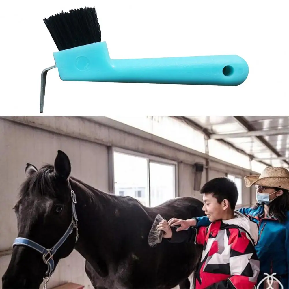 Easy to Hold  Premium Horse Care Cleaning Brush Eco-friendly Horseshoe Brush Fine Workmanship   for Personal Use