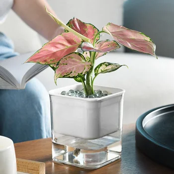 

Self-watering Flowerpot Flower Pot Automatic Watering Hydroponic Plant Planter Pot for Garden Home Decoration