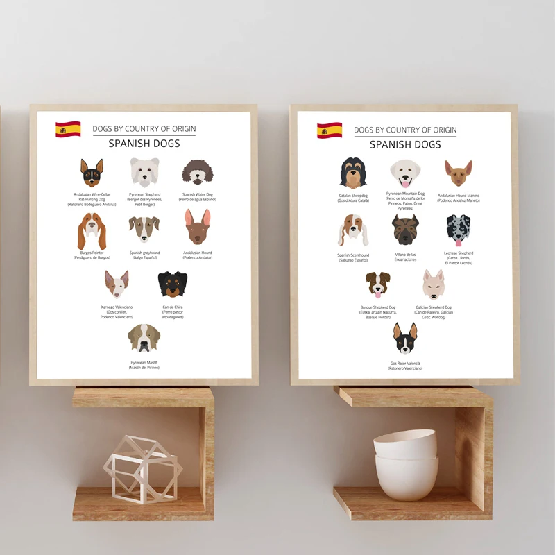 Spanish Dog Breeds Collection illustration Prints Pet Shop Poster Wall Art Decor Dogs Lover Gift idea Canvas Painting Pictures | Дом и сад