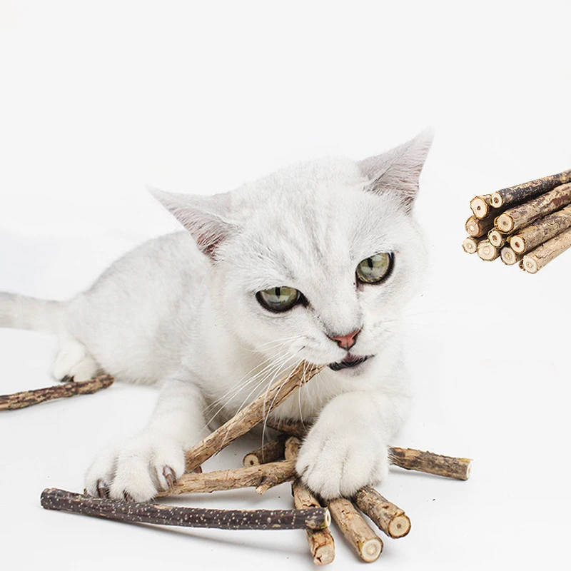 5 шт. натуральная кошачья мята Pet кошка молярная зубная паста палочка плод актинидии Silvervine для кошек снэки палочки для чистки зубов C1820 g