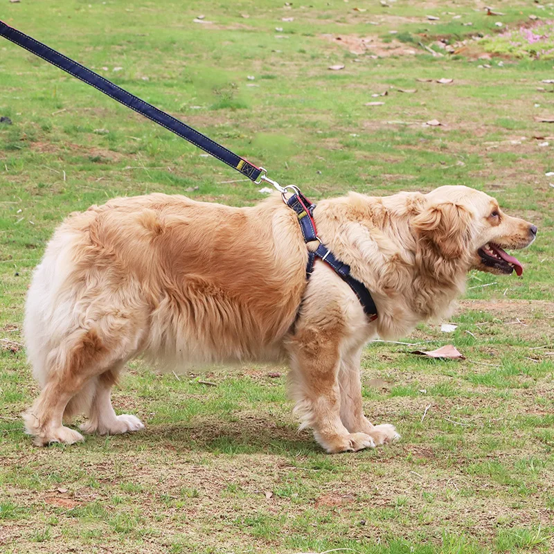 Поводок для собак и кошек Регулируемый жилет домашних животных поводок прогулок