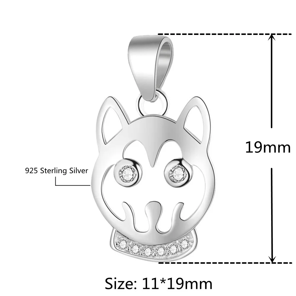 11432388640_1182436196_副本