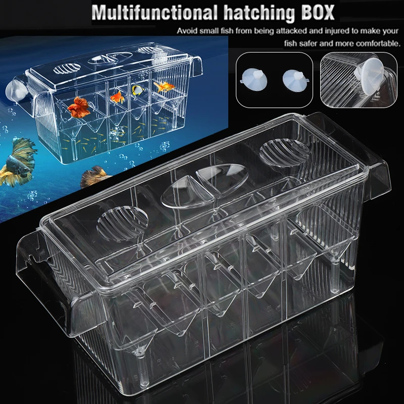 Fish Breeding Box, Acrylic Fish Isolation Box Fish Barbados