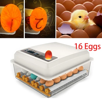 

220V 110V Eggs Incubator Hatchery Machine Brooder Bird Quail Duck Chick Poultry Hatcher Turner Automatic Farm Incubation Tools