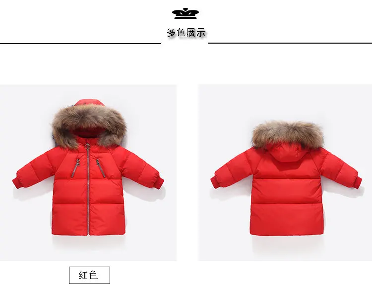 12017204751_90434714