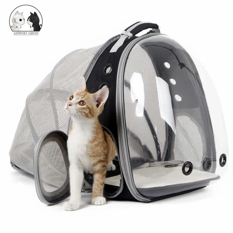 mesh cat backpack