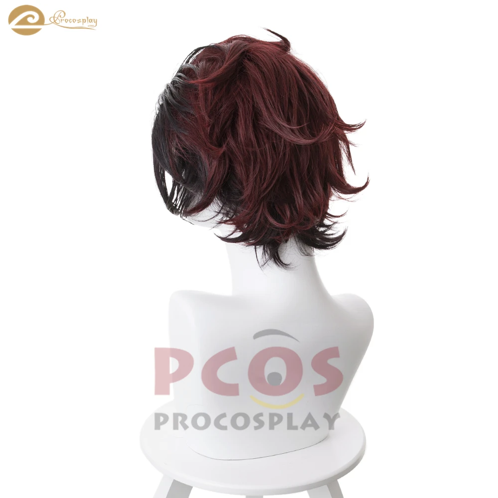 Procosplay Demon Slayer: Kimetsu no Yaiba Ghost killer swordman Kamado Tanjirou cosplay secked-back omega wig mp004927